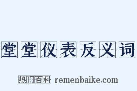 堂堂仪表反义词是什么意思的图片